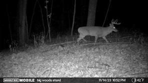 18370 East Terre Haute Road Paris, IL 61944 - Photo 48 of 48