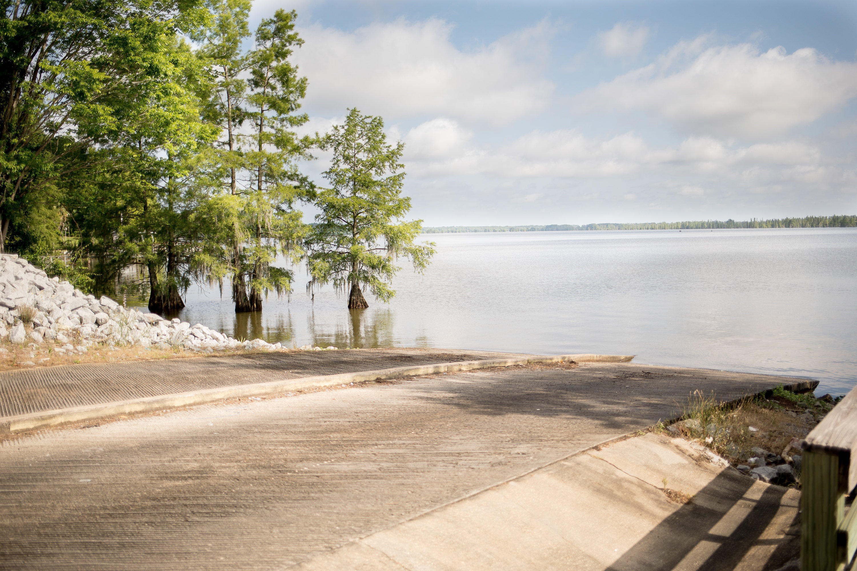 576 Stumphole Road Elloree, SC 29047 - Photo 26 of 28 Stumphole Landing EDITED-0042