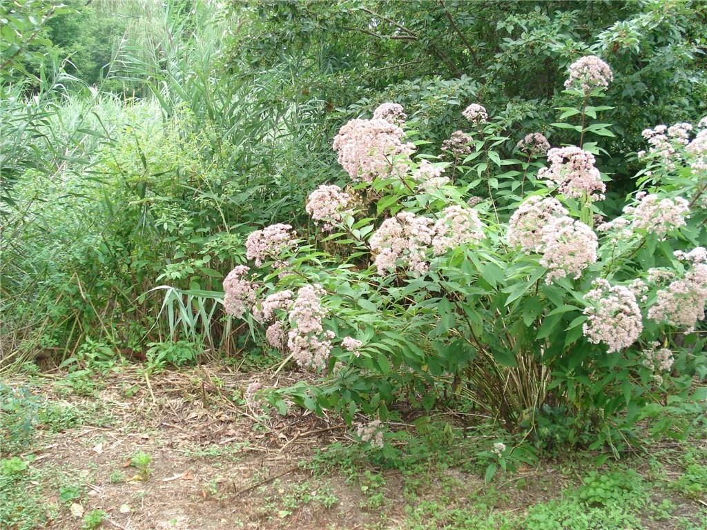 19 Rita Street Warwick, RI 02889 - Photo 25 of 27 Gallery Image 25