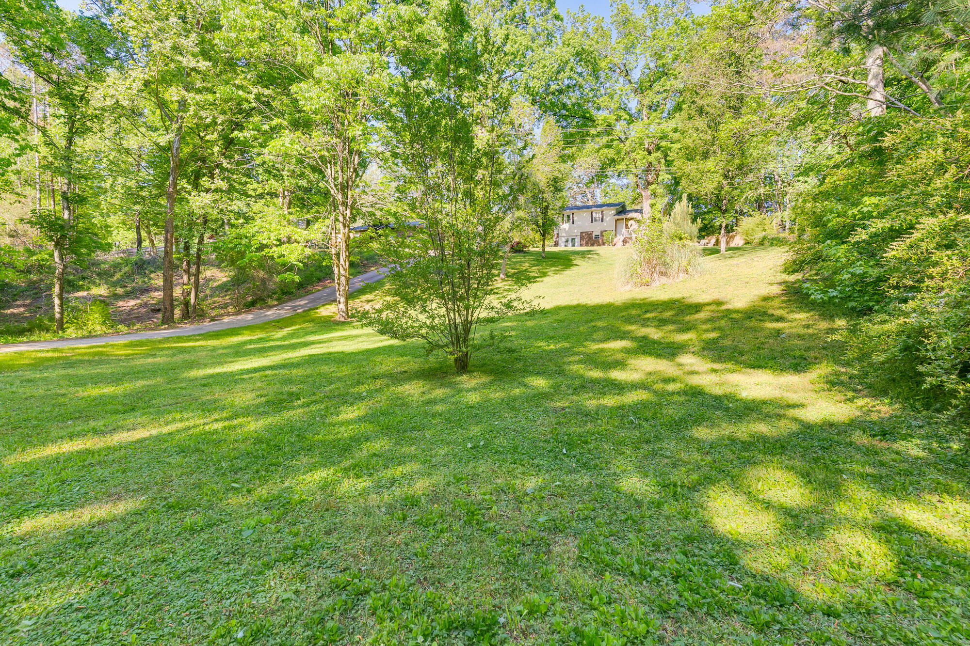 806 Childress Hollow Road Chickamauga, GA 30707 - Photo 7 of 33 806-Childress-Hollow-Rd-MLS-Photos-4