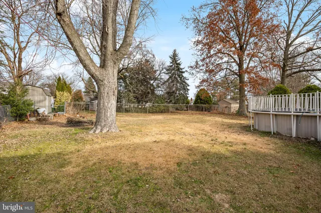 a view of yard with tree