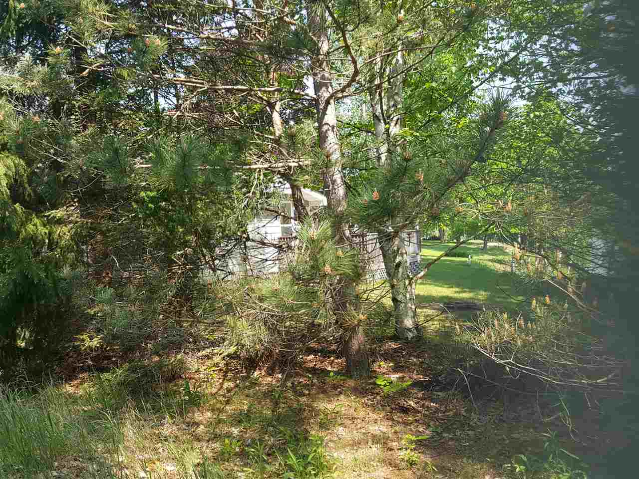 609 White Road Gladwin, MI 48624 - Photo 10 of 22 1847971-11.JPG