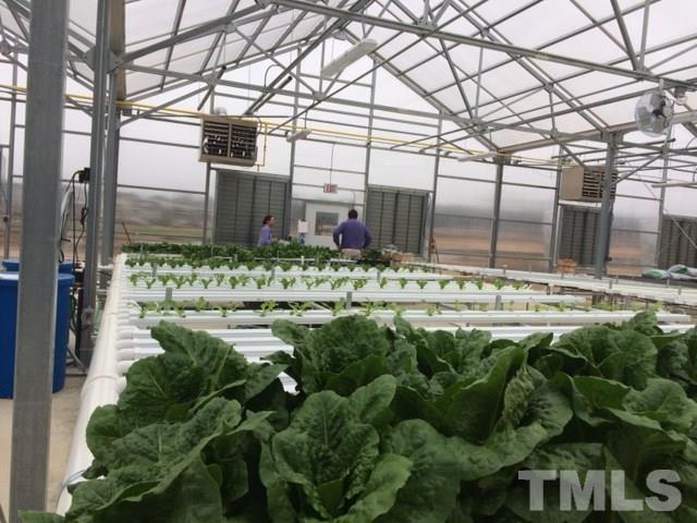 6416 Giddings Street, Unit 3074 Raleigh, NC 27616 - Photo 22 of 24 Where else can you buy hydroponic Lettuce within walking distance?