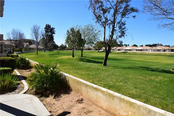 a view of a garden with an outdoor space