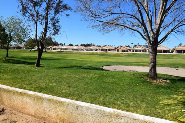 a view of a park with large trees