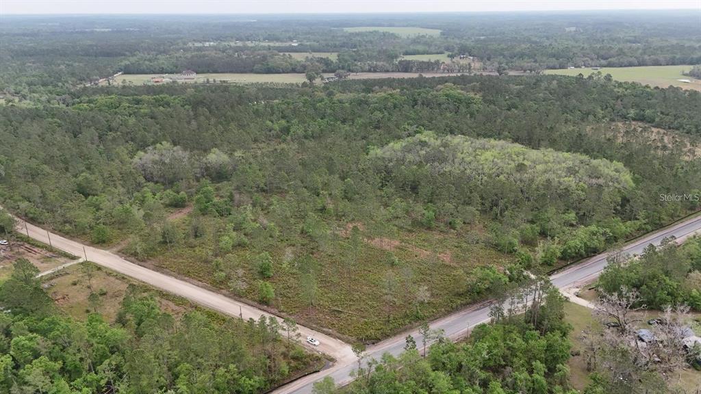 25 Southeast A Se County Road White Springs, FL 32096 - Photo 3 of 18 a view of a mountain from a field
