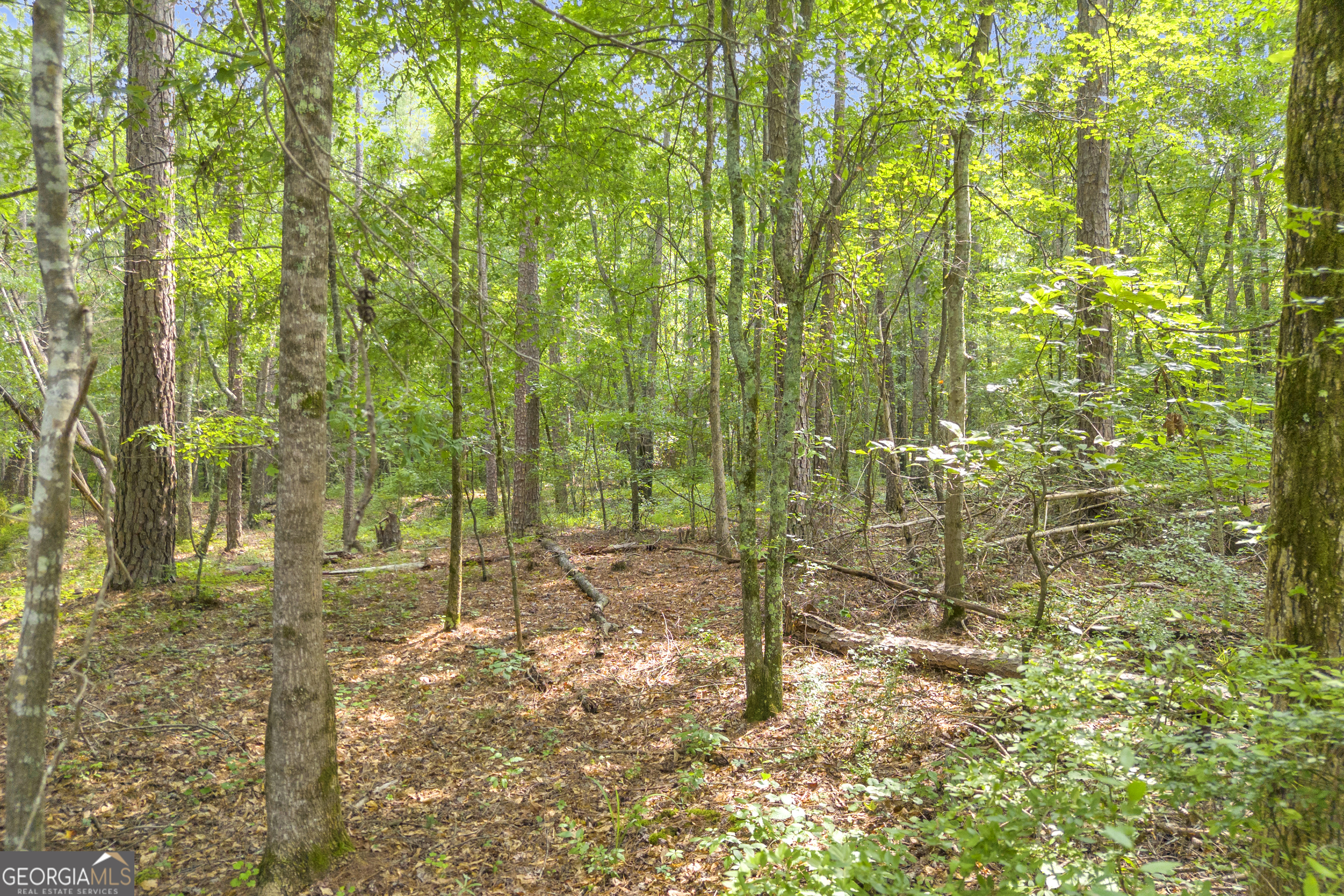 1655 Cleveland Road Bogart, GA 30622 - Photo 6 of 19