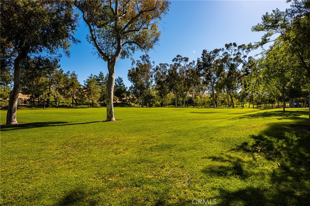 8 Moon Shadow, Unit 8 Irvine, CA 92603 - Photo 38 of 42 a view of a park with large trees