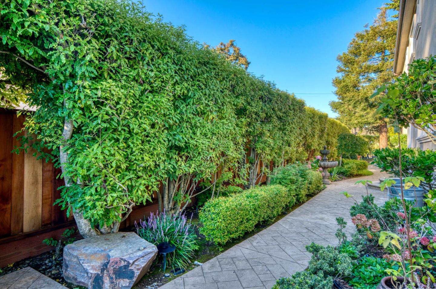 400 Seaview Drive Aptos, CA 95003 - Photo 51 of 58 a wooden fence with some potted plants and large trees
