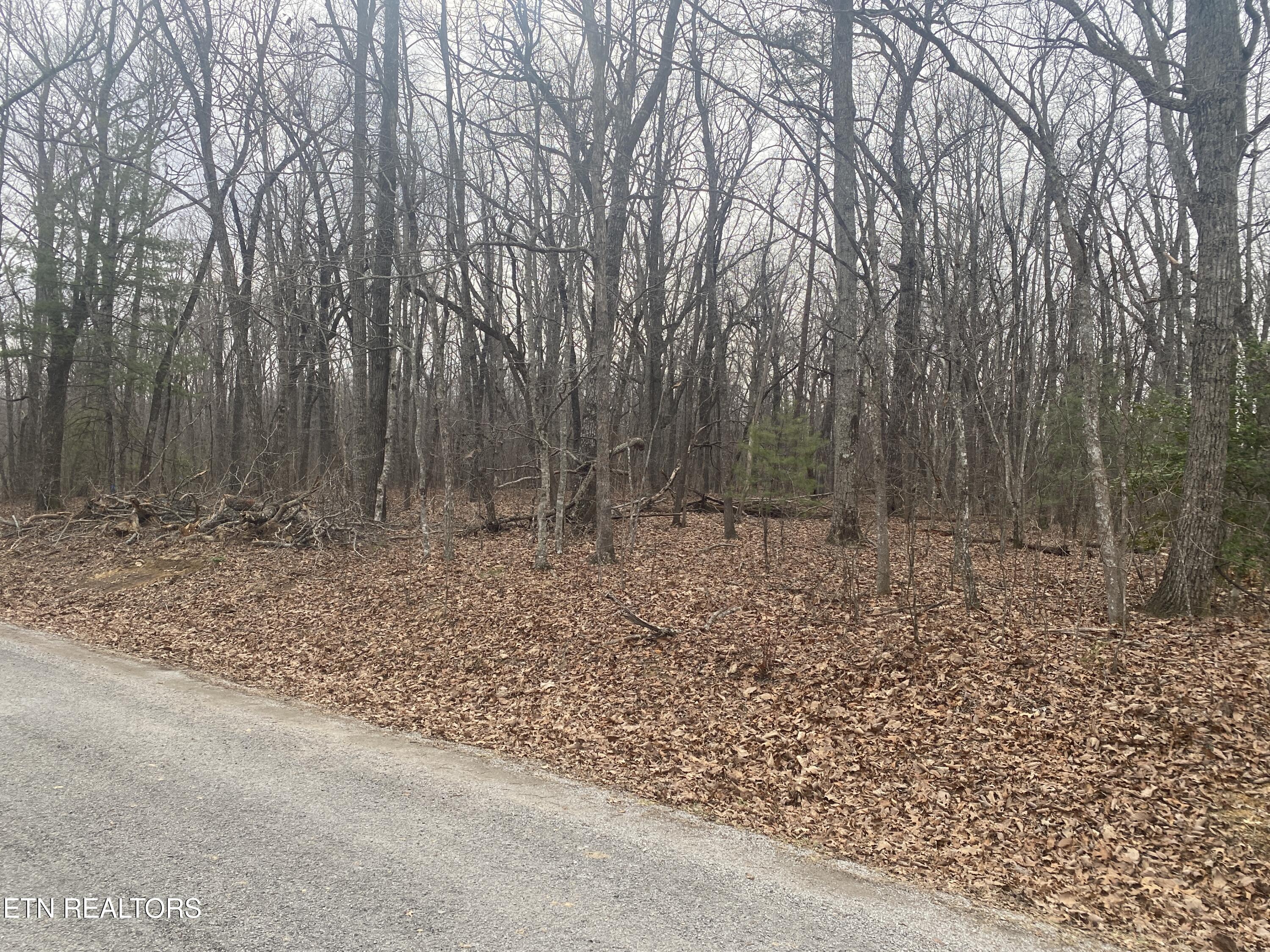 114 Folkstone Road Crossville, TN 38558 - Photo 2 of 11 003
