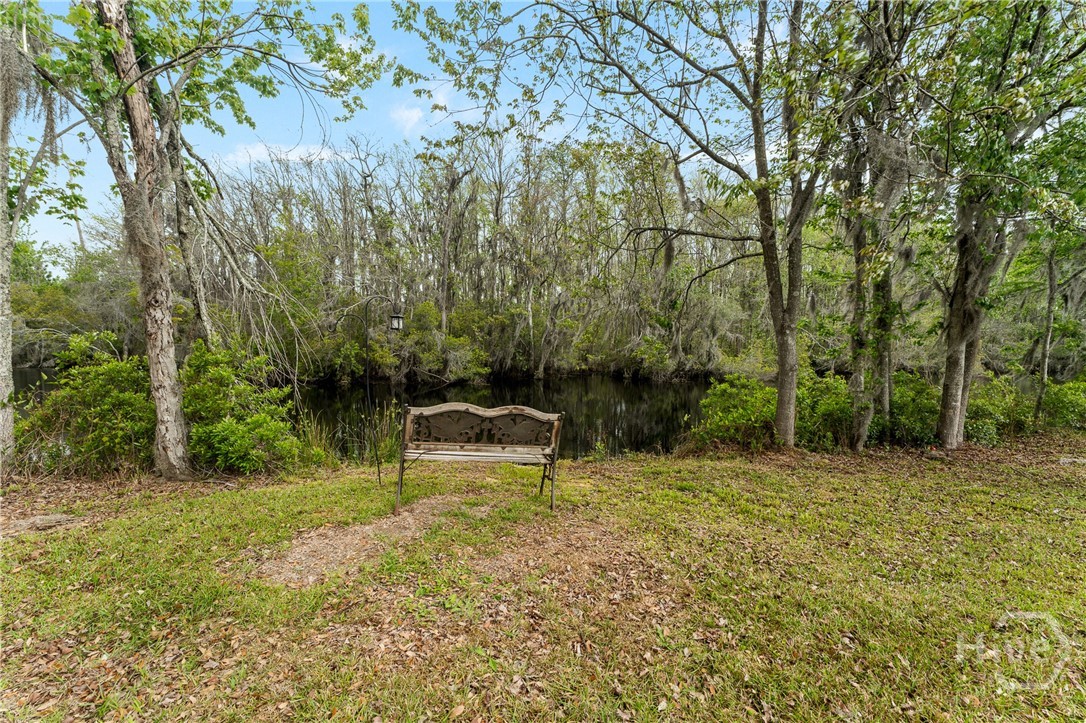 108 Saratoga Drive Rincon, GA 31326 - Photo 47 of 63 Lagoon