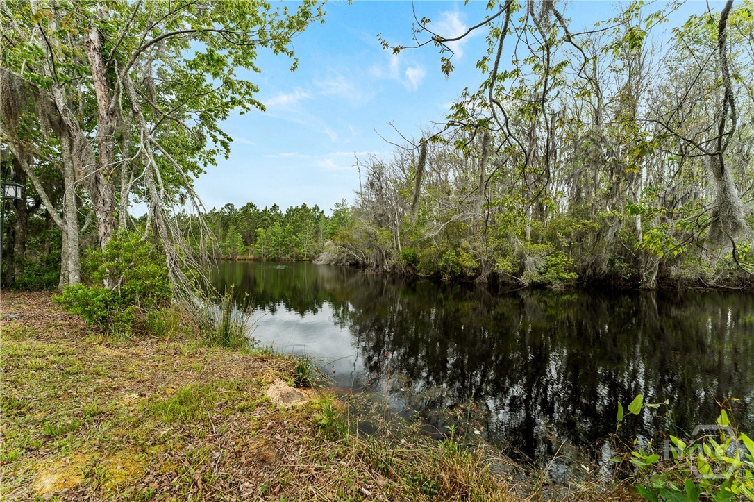 108 Saratoga Drive Rincon, GA 31326 - Photo 48 of 63 Lagoon