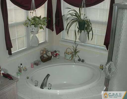 49 Timber Ridge Road North Brunswick, NJ 08902 - Photo 7 of 8 a bathroom with a sink and a mirror