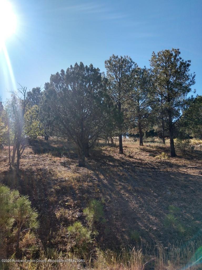 L46 Sawmill Cyn Road Alto, NM 88312 - Photo 1 of 1 Gallery Image 1