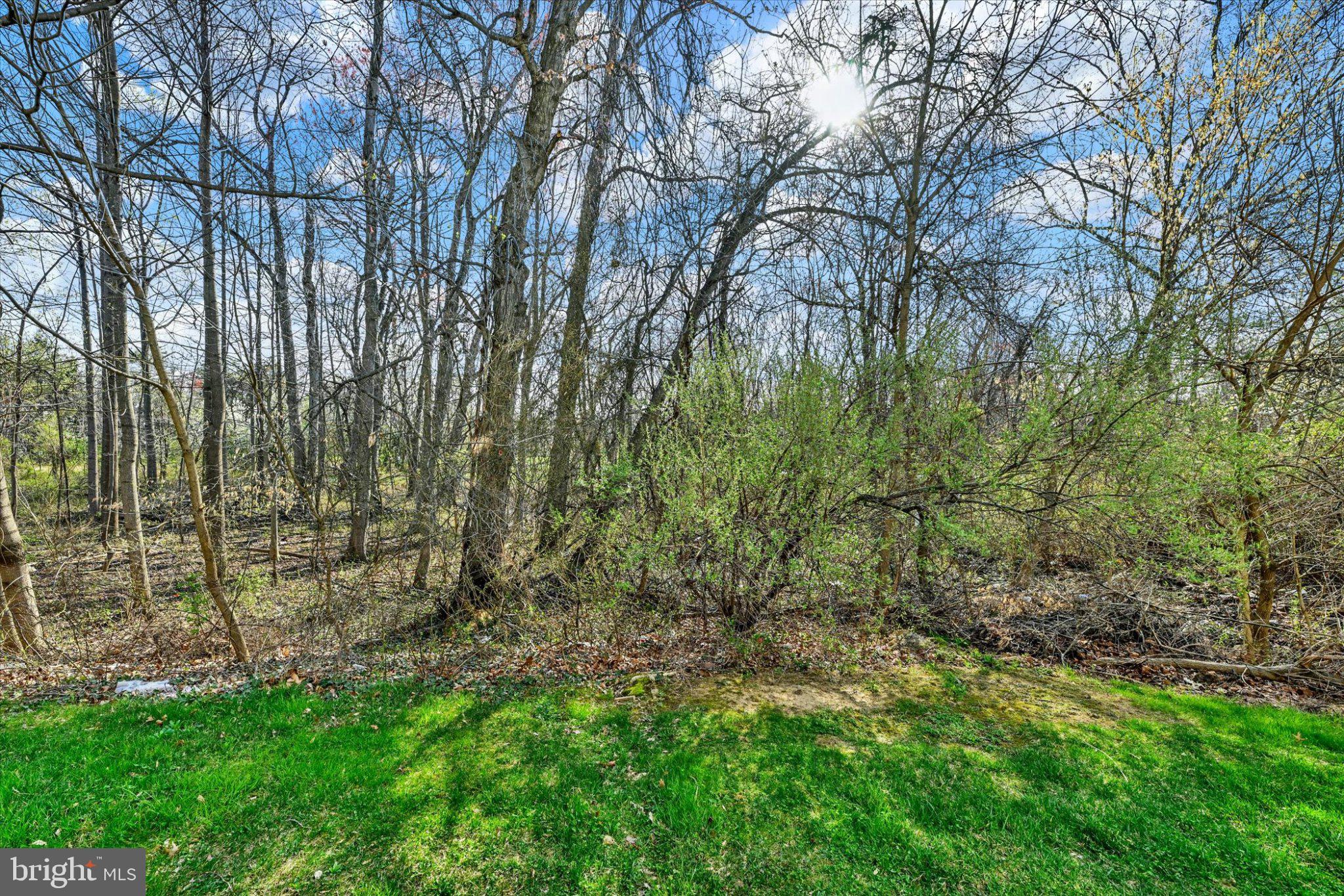 7120 Natures Road Columbia, MD 21046 - Photo 4 of 20 Serene woodland retreat awaits you.