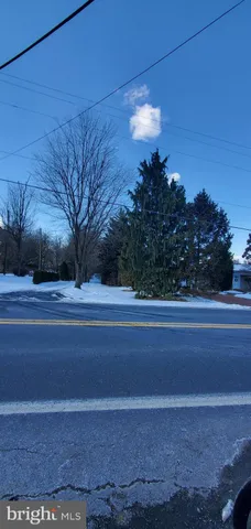 a view of a yard with large trees
