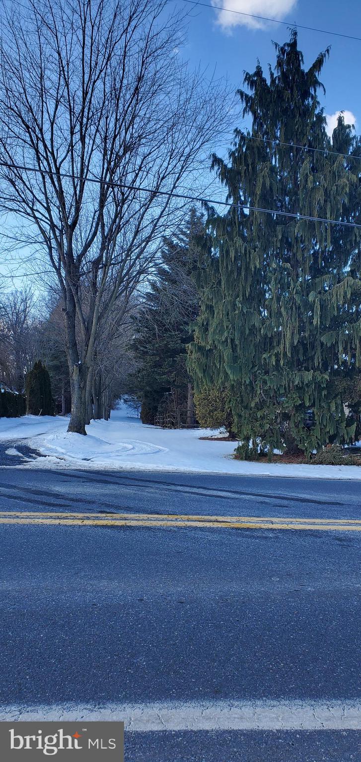 1525 Mt Zion Road Lebanon, PA 17046 - Photo 7 of 8 a view of a yard with large trees