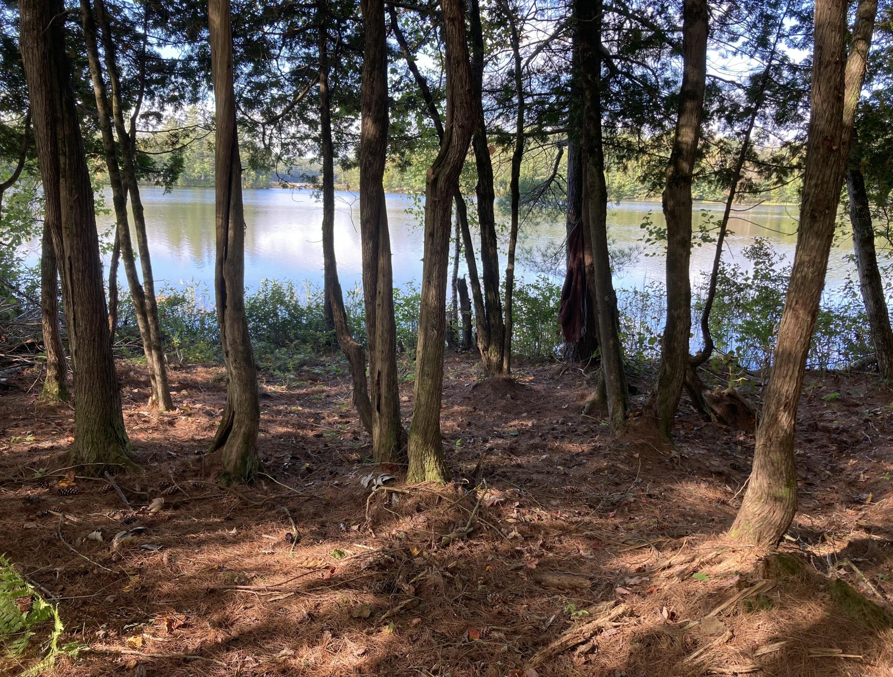 62 East Point Way Norway, ME 04268 - Photo 52 of 60 IMG_8597