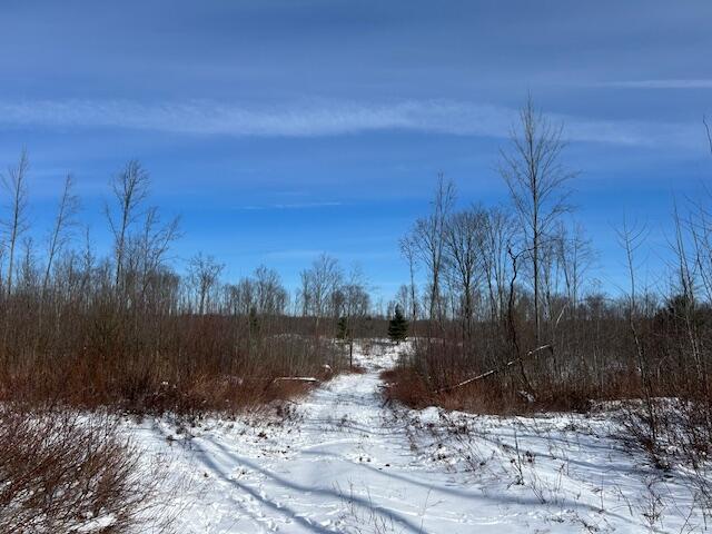 9 East 9 Mile Road Lakeview, MI 48850 - Photo 16 of 16