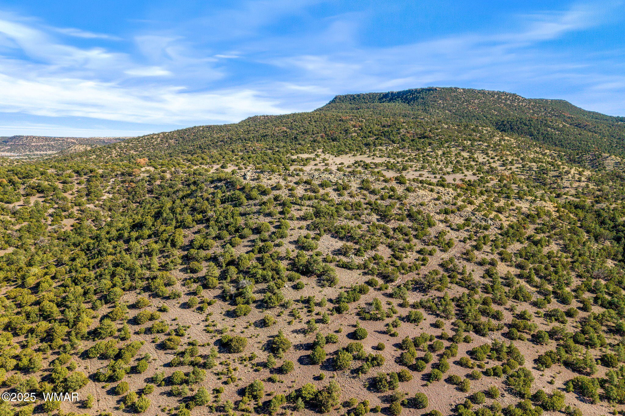 0 South Ponderosa Springerville, AZ 85938 - Photo 13 of 15 a view of a sky