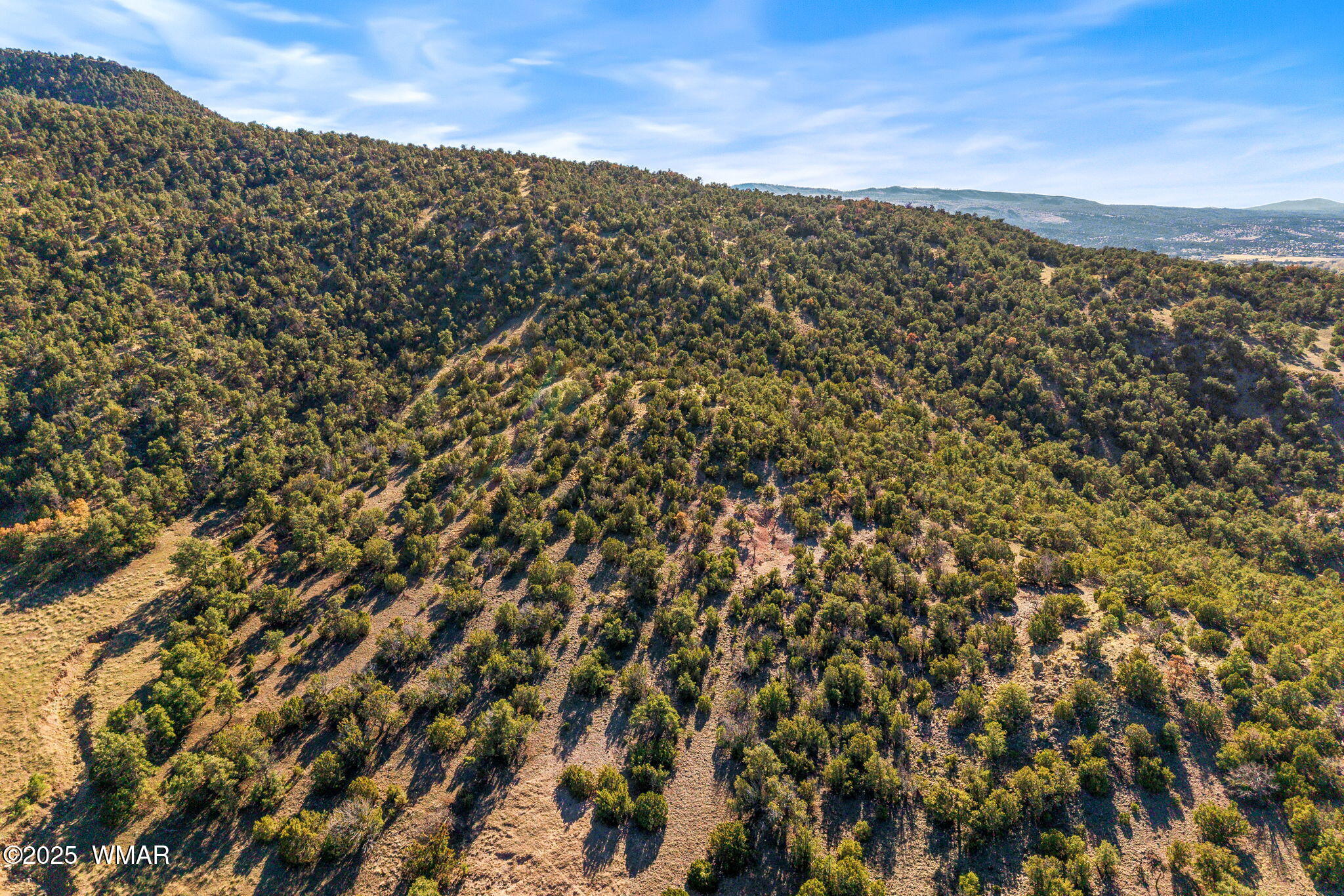 0 South Ponderosa Springerville, AZ 85938 - Photo 5 of 15 a view of a city