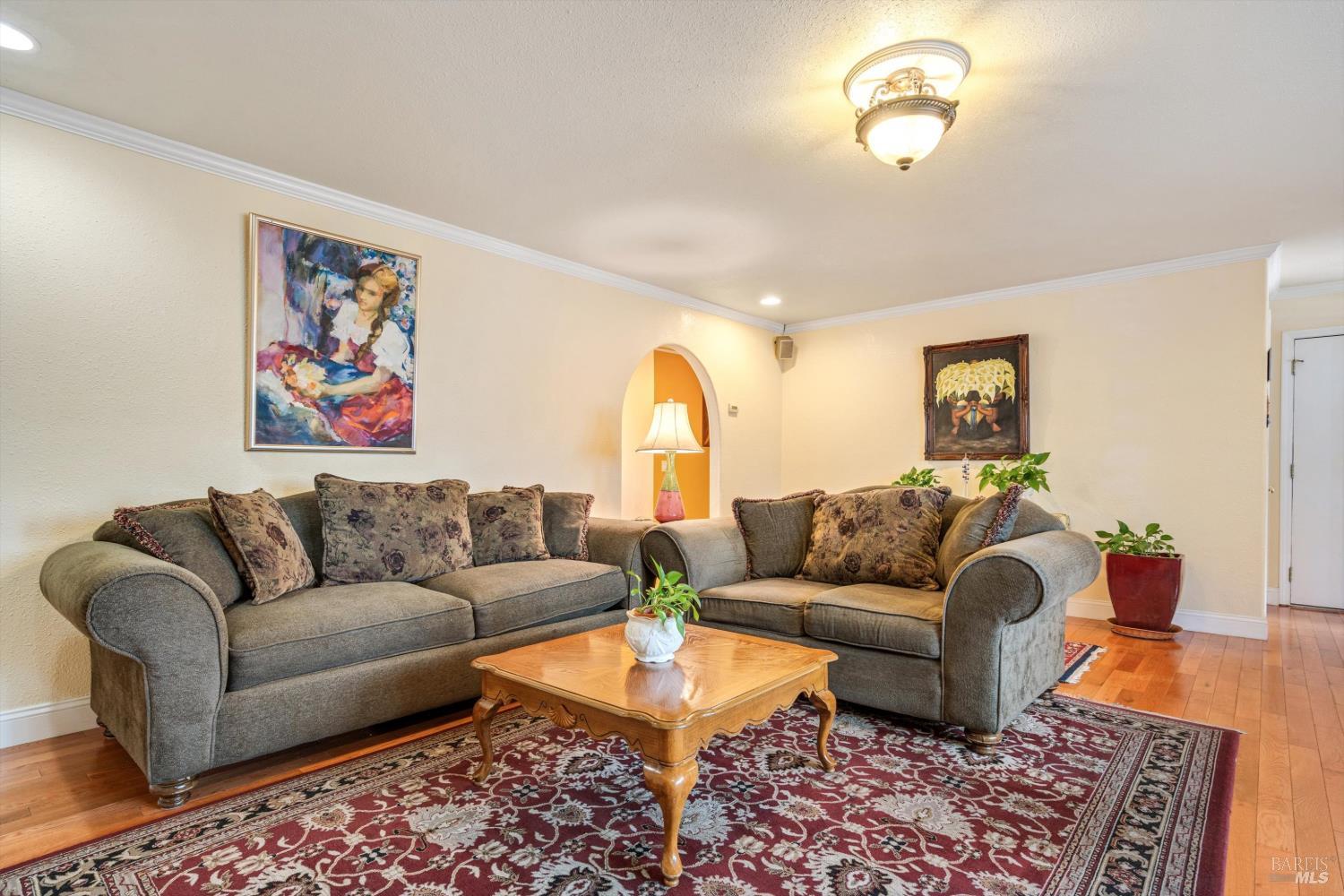 971 Eleanor Avenue Rohnert Park, CA 94928 - Photo 10 of 25 a living room with furniture a rug and a couch