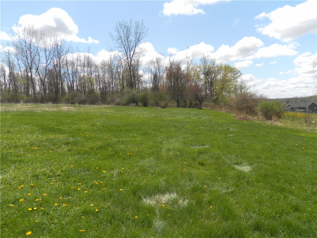 2455 Whitney Road East Perinton, NY 14450 - Photo 4 of 15