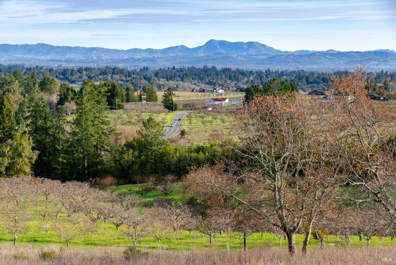 459 Gold Ridge Road Sebastopol, CA 95472 - Photo 1 of 29 a view of a lush green hillside and a houses