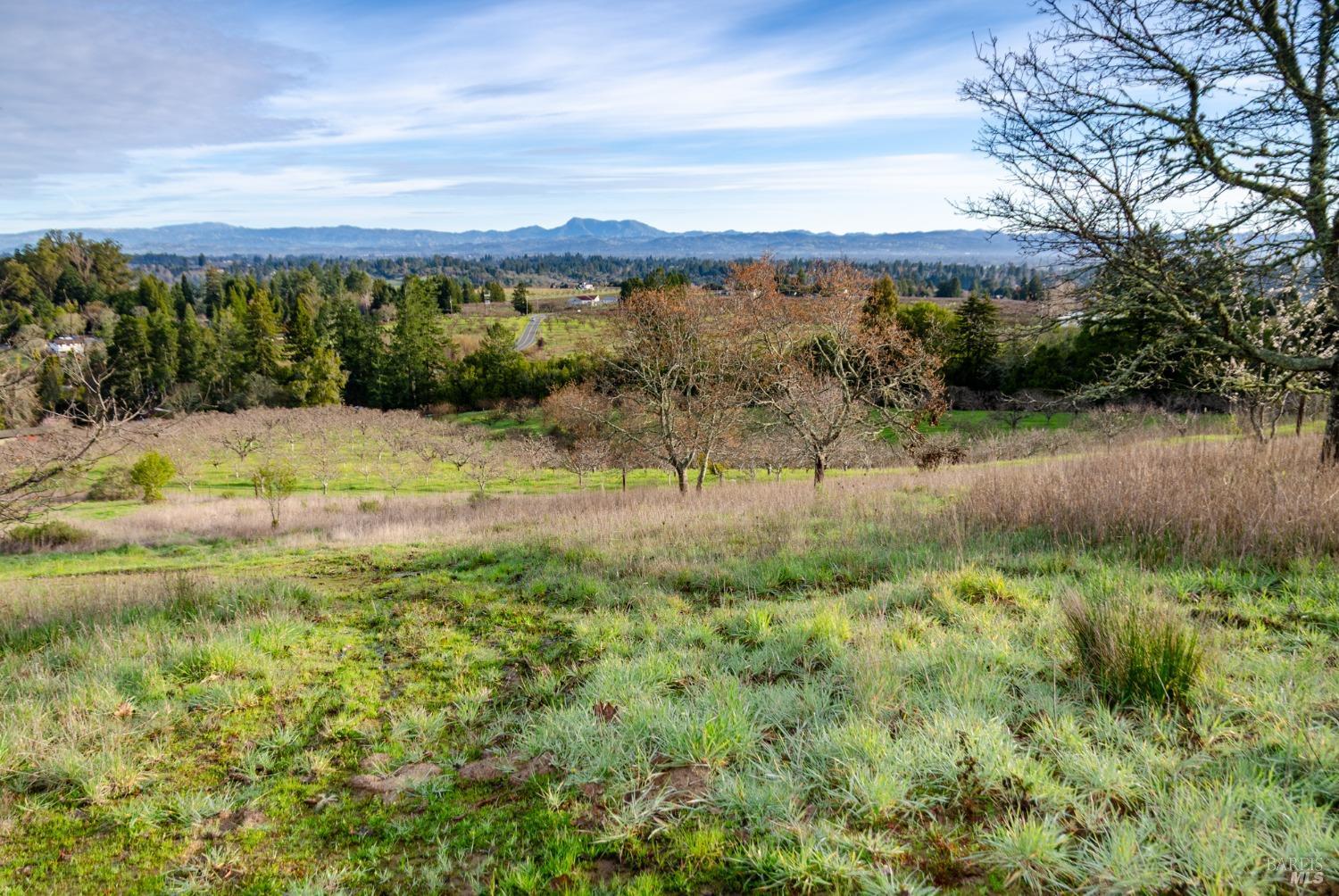 459 Gold Ridge Road Sebastopol, CA 95472 - Photo 12 of 29 a view of a lake with a mountain