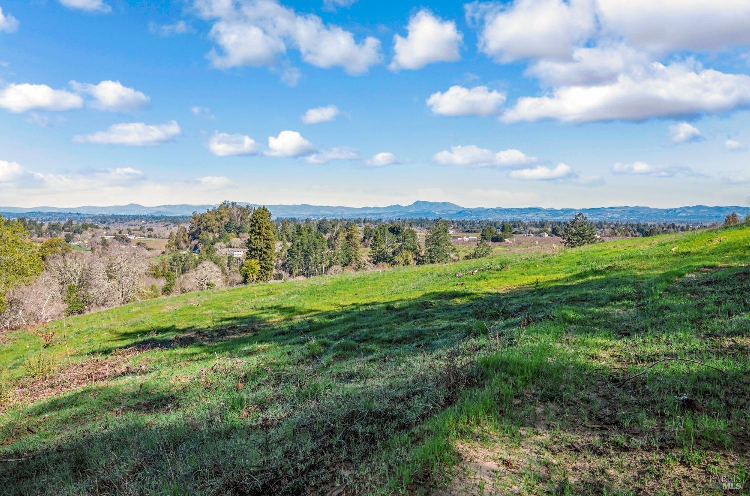 459 Gold Ridge Road Sebastopol, CA 95472 - Photo 13 of 29 a view of yard with green space