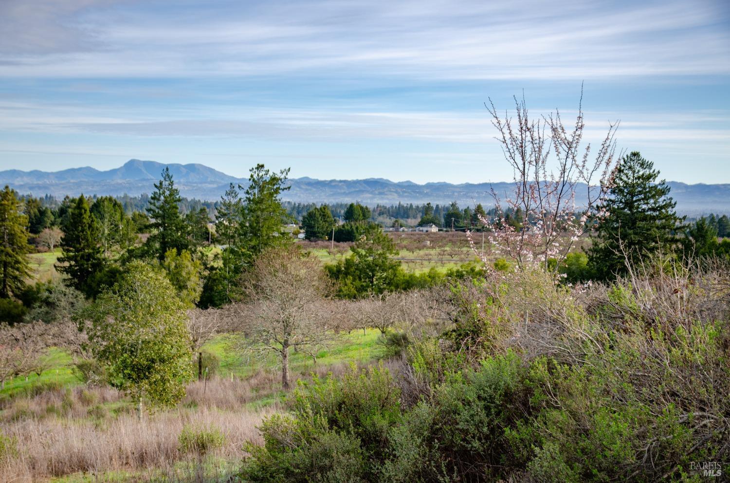 459 Gold Ridge Road Sebastopol, CA 95472 - Photo 14 of 29 a view of a lake with a mountain in the background