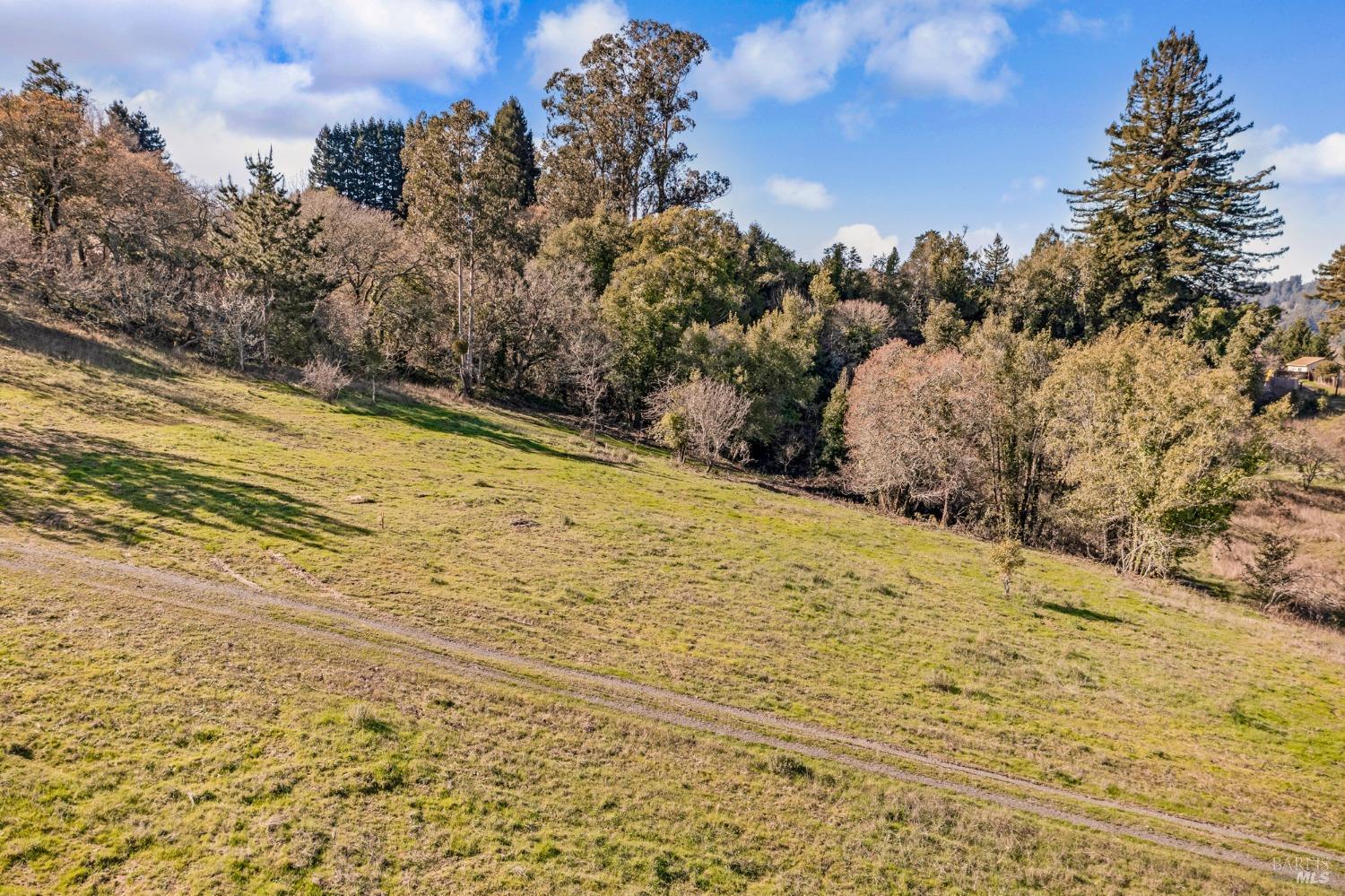 459 Gold Ridge Road Sebastopol, CA 95472 - Photo 18 of 29 a view of a yard