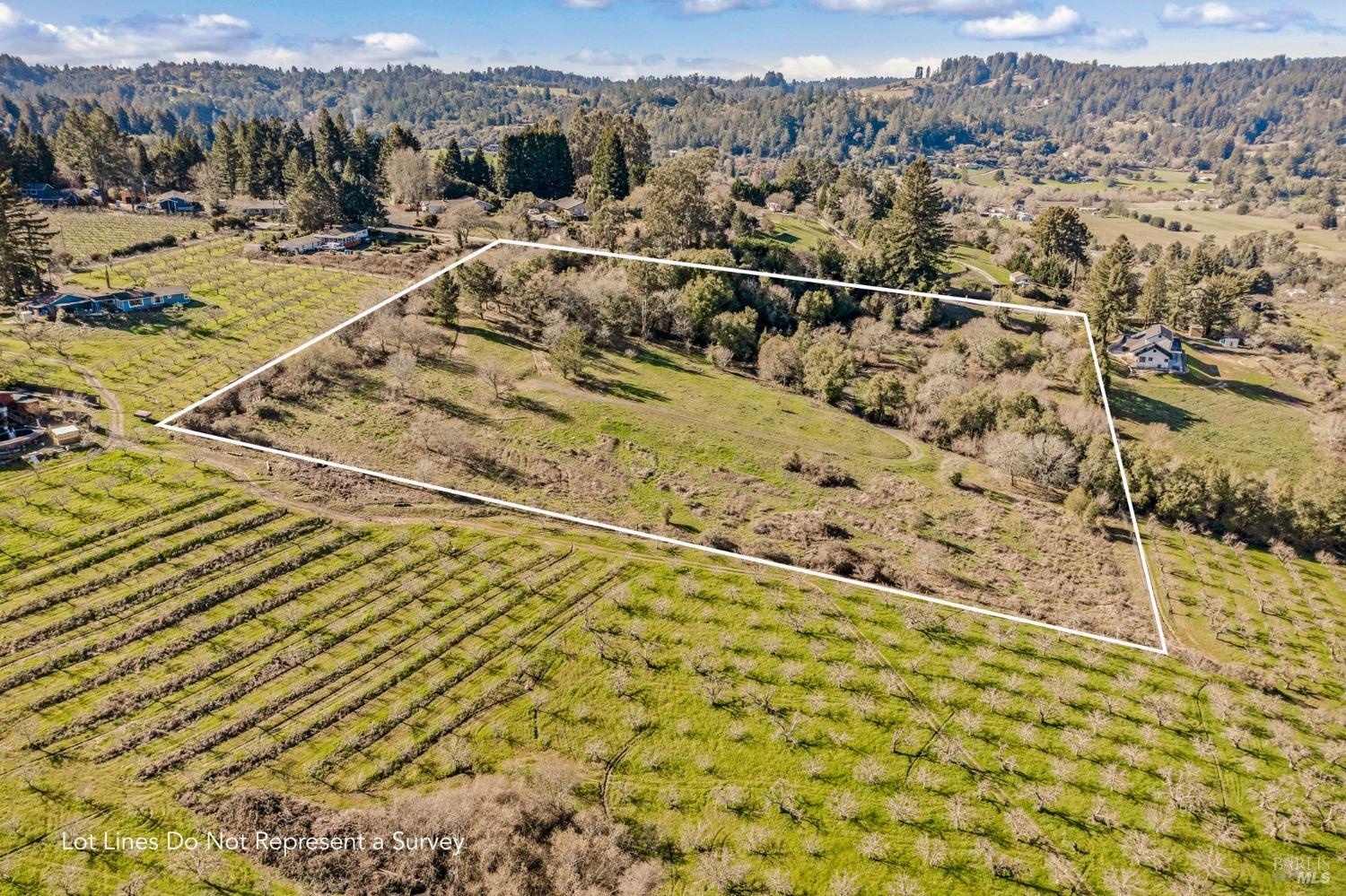 459 Gold Ridge Road Sebastopol, CA 95472 - Photo 23 of 29 a view of a terrace with a outdoor space