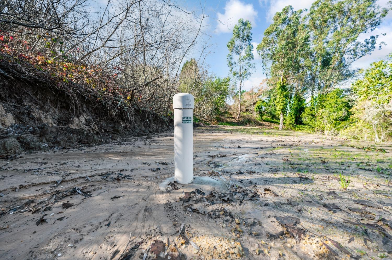 459 Gold Ridge Road Sebastopol, CA 95472 - Photo 26 of 29 a view of a out door space