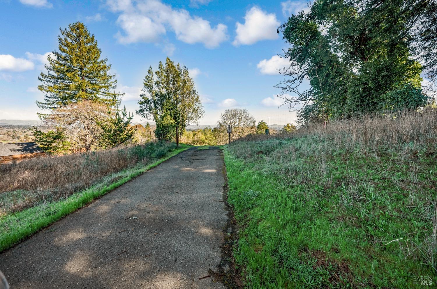 459 Gold Ridge Road Sebastopol, CA 95472 - Photo 5 of 29 a view of a yard with plants and a trees