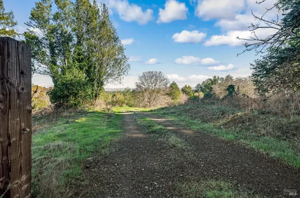 a backyard of a house with lots of trees