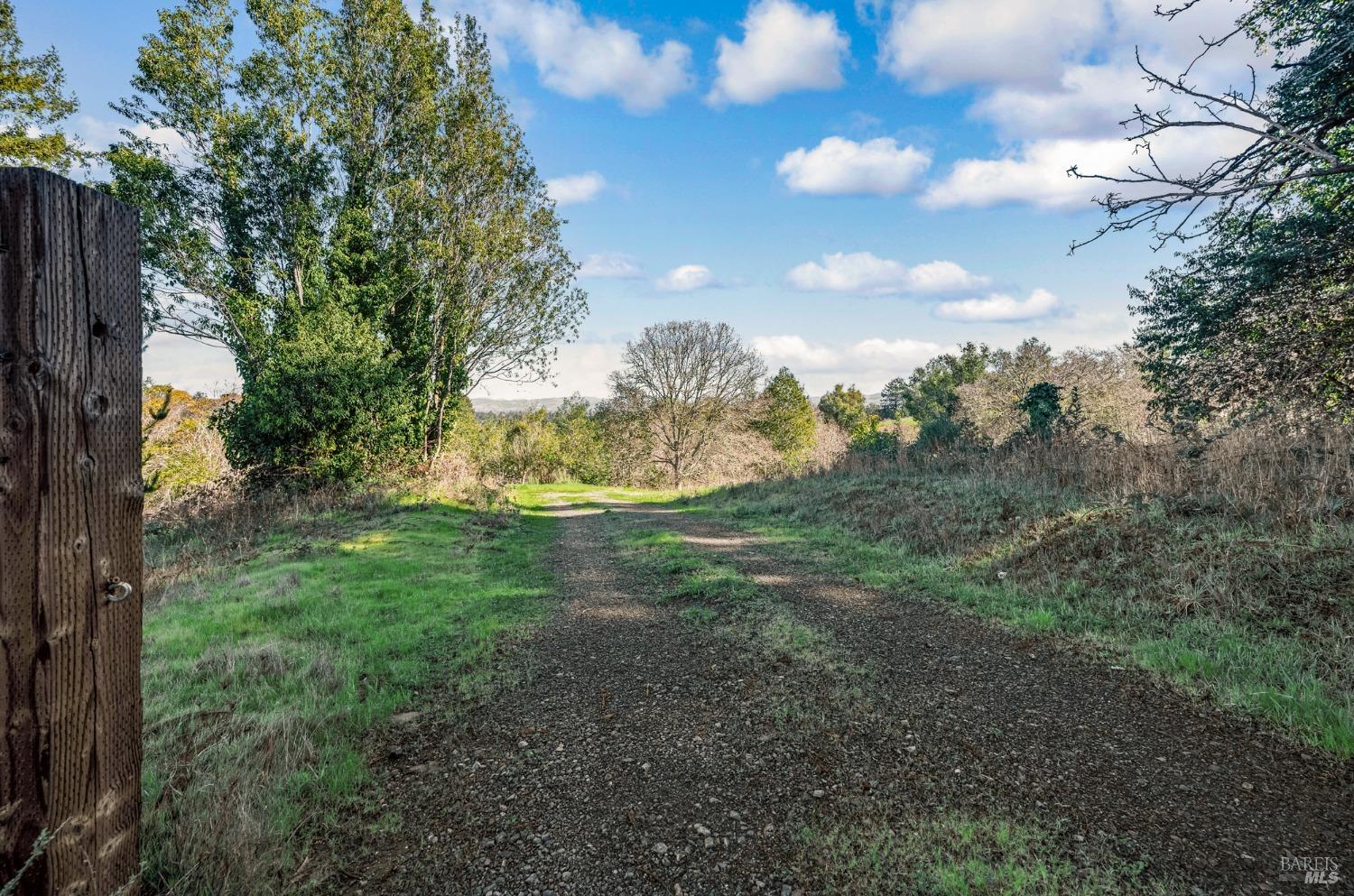 459 Gold Ridge Road Sebastopol, CA 95472 - Photo 6 of 29 a view of a trees with a yard