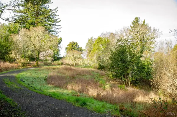 a view of green field with trees