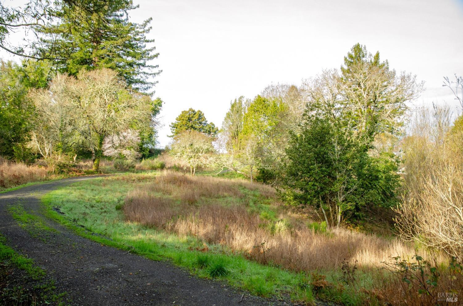 459 Gold Ridge Road Sebastopol, CA 95472 - Photo 8 of 29 a view of a lake view