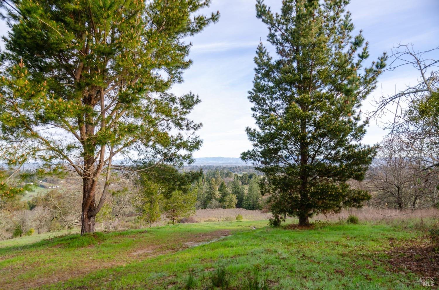 459 Gold Ridge Road Sebastopol, CA 95472 - Photo 9 of 29 a view of green field with trees