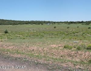Tbd Avanti Way Show Low, AZ 85901 - Photo 1 of 2 a view of a lake with houses in the back