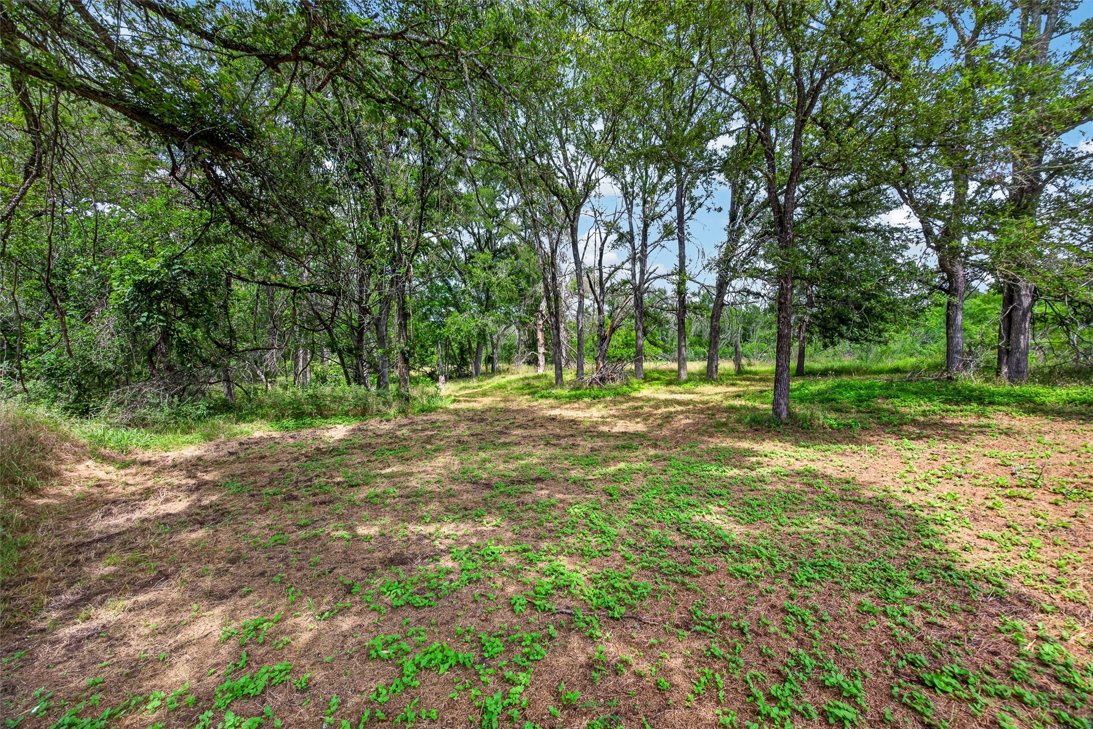 266 Beaver Road Elgin, TX 78621 - Photo 24 of 40 Mature trees and lush greenery offer a peaceful, private retreat.