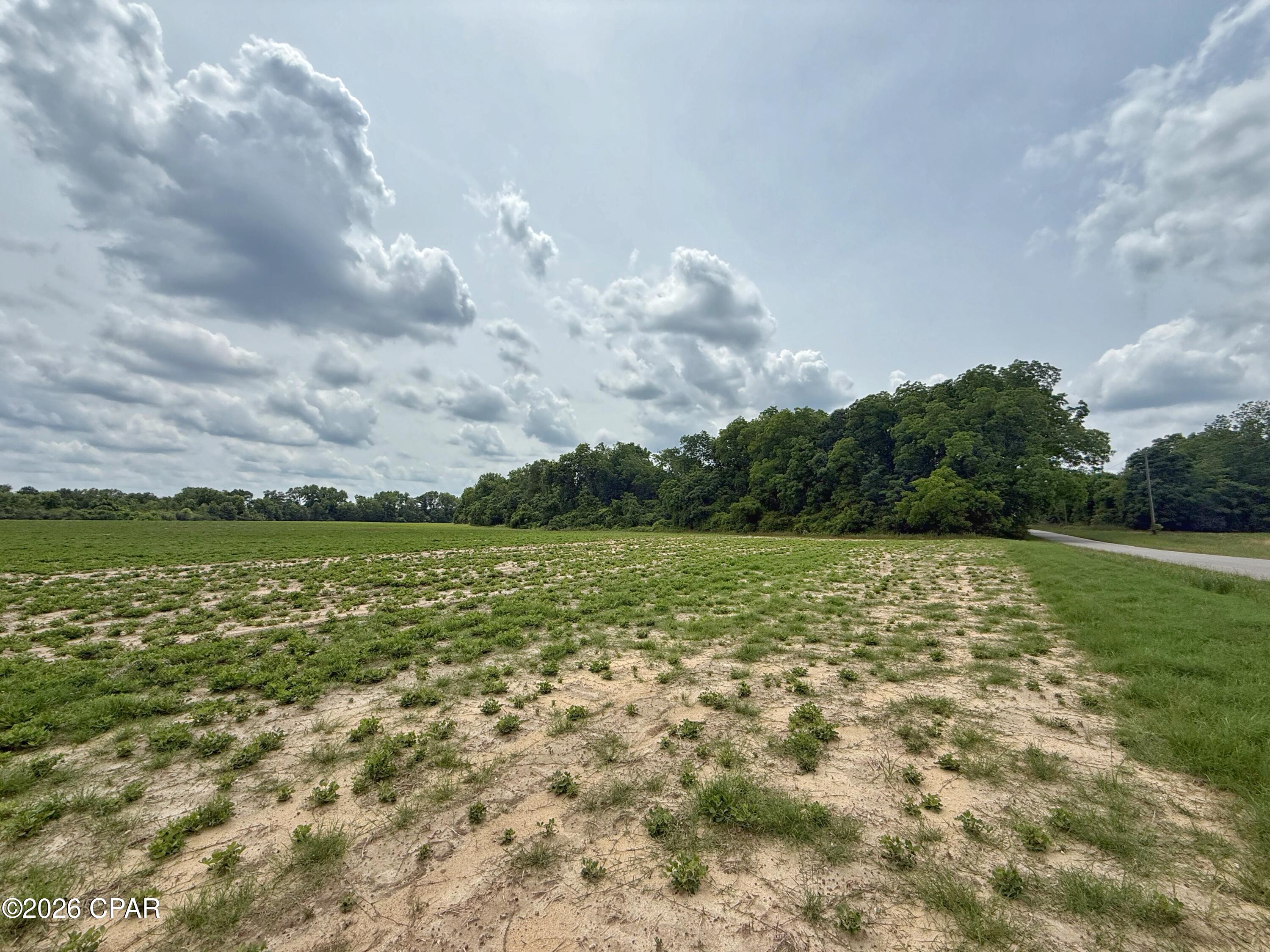 5107 Cloverdale Road Graceville, FL 32440 - Photo 20 of 21