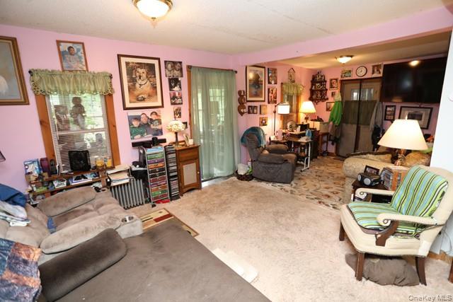 13 Kinney Road Long Eddy, NY 12760 - Photo 15 of 43 Gallery Image 15
