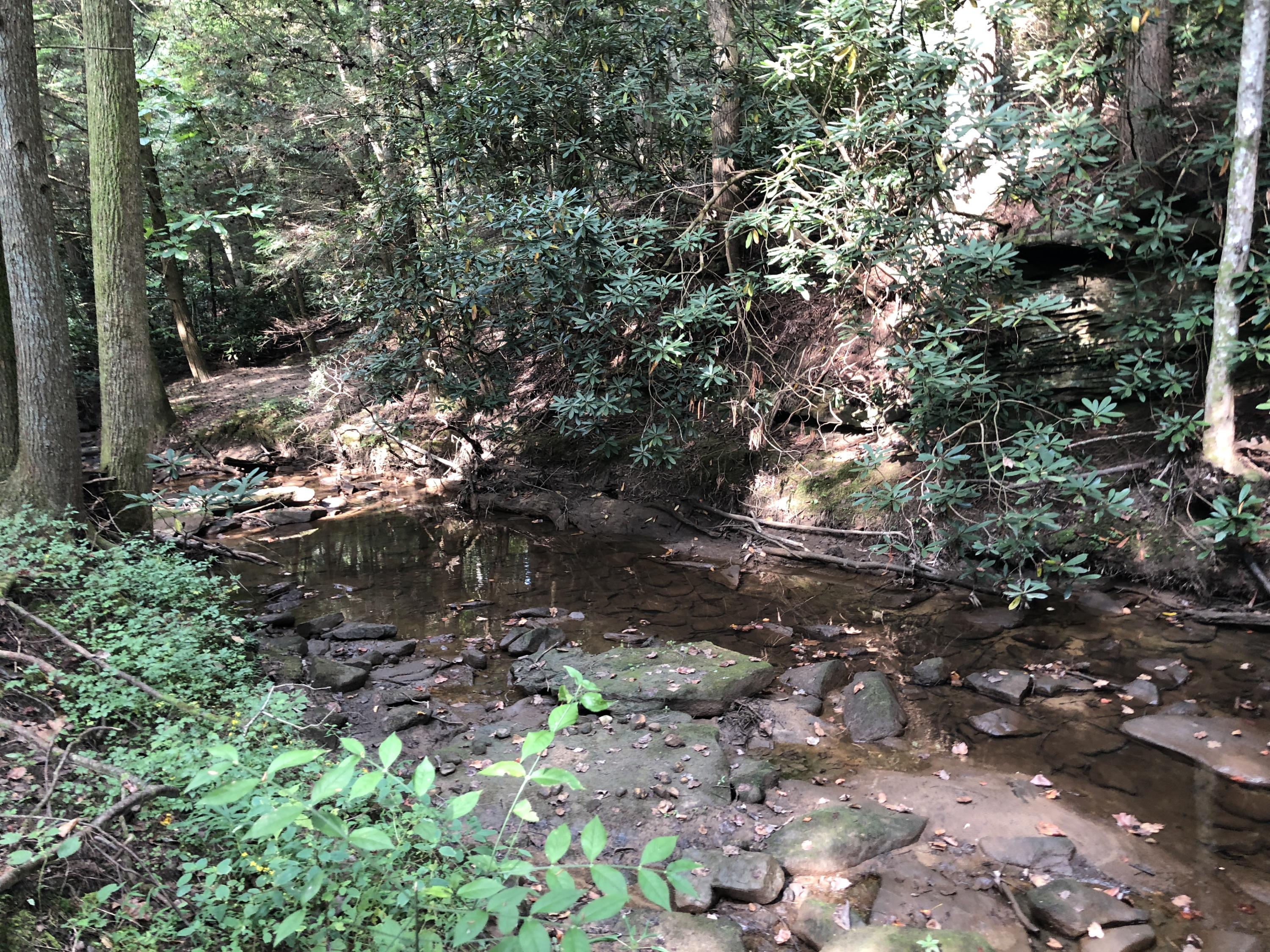 920 Bridge Creek Road Clarkrange, TN 38553 - Photo 2 of 38 IMG_0569