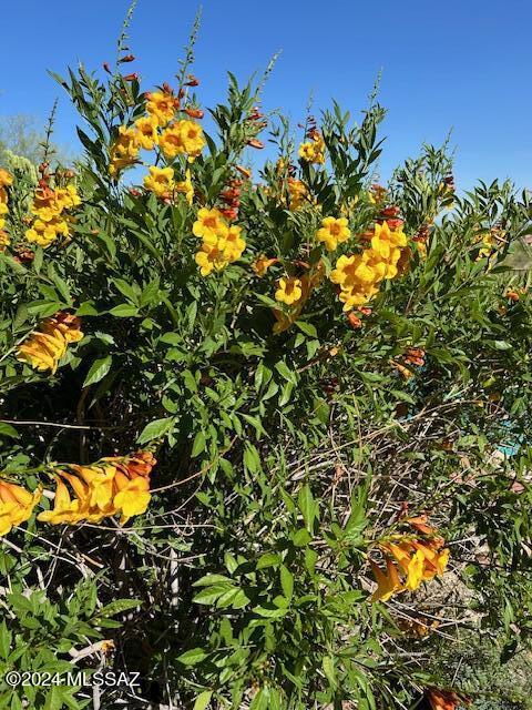 0 East Prince Road Tucson, AZ 85750 - Photo 32 of 32