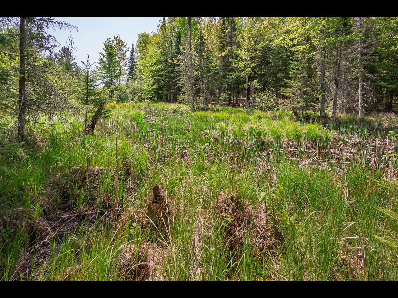Lot 13 Memory Lane Eagle River, WI 54521 - Photo 22 of 40 Gallery Image 22