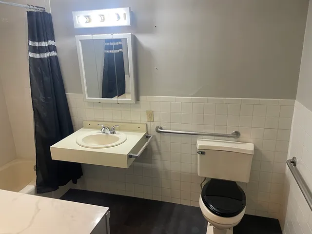 a bathroom with a toilet a sink and mirror