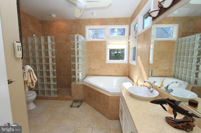 1464 Waterfront Road Reston, VA 20194 - Photo 17 of 30 Bath (Master)