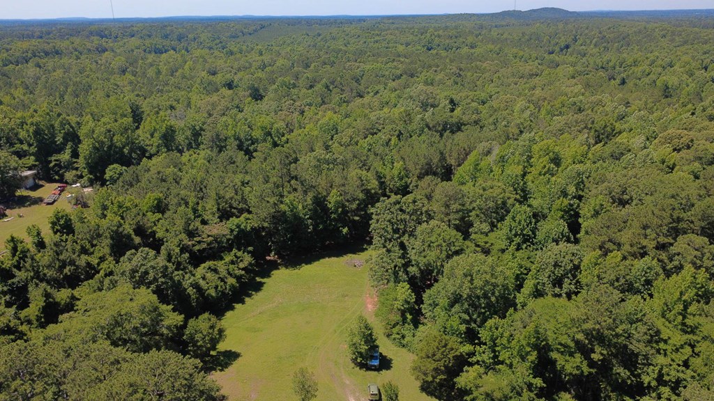231 Lower Lovelace Road West Point, GA 31833 - Photo 18 of 49